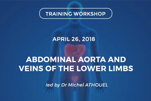 Abdominal aorta and veins of the lower limbs - Découper