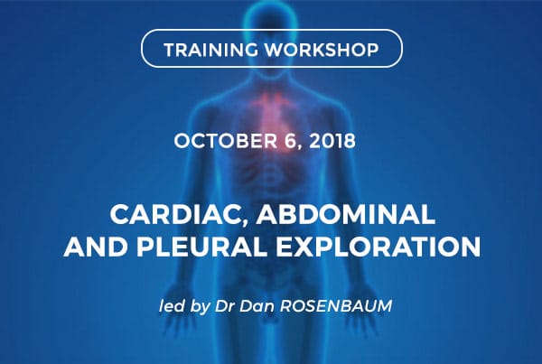 Cardiac, abdominal and pleural exploration - Découper