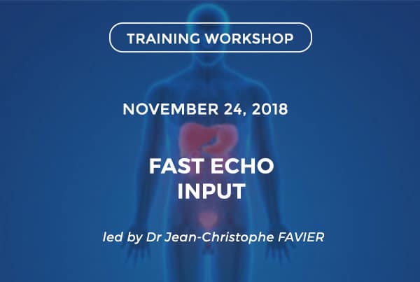 Fast echo input for the general practitioner - Police de caractère