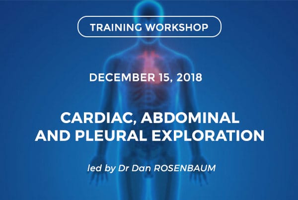 Cardiac, abdominal and pleural exploration - Découper