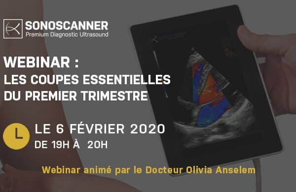 Webinar Sonoscanner : Les coupes essentielles du premier trimestre. - Texte