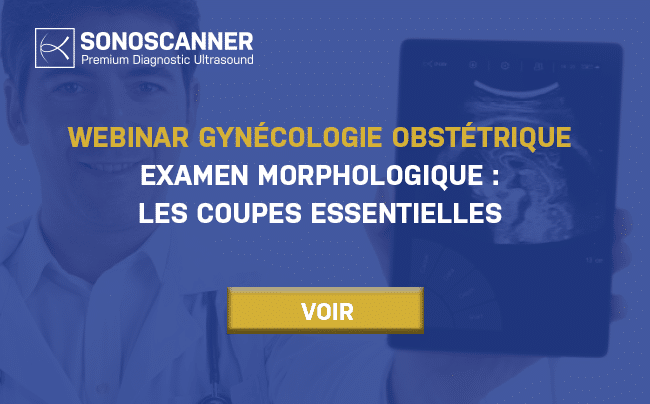 Replay – Examen morphologique : Les coupes essentielles